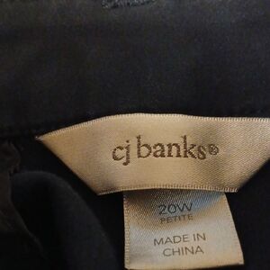 CJ Banks Classic Blue Pants sz.20WP